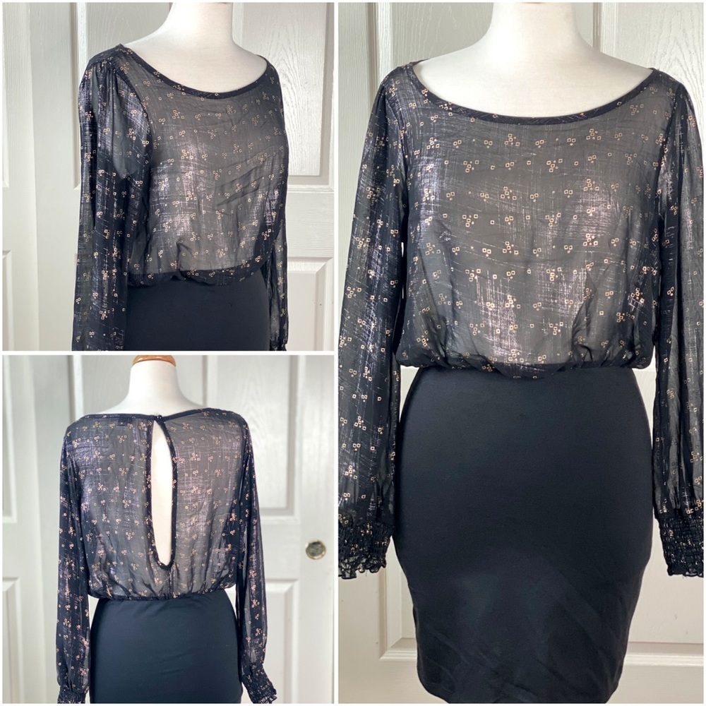 Sheer Body-con Lon Sleeve Dress